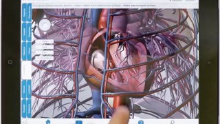 Human Anatomy Atlas tutorial for iPad (old)