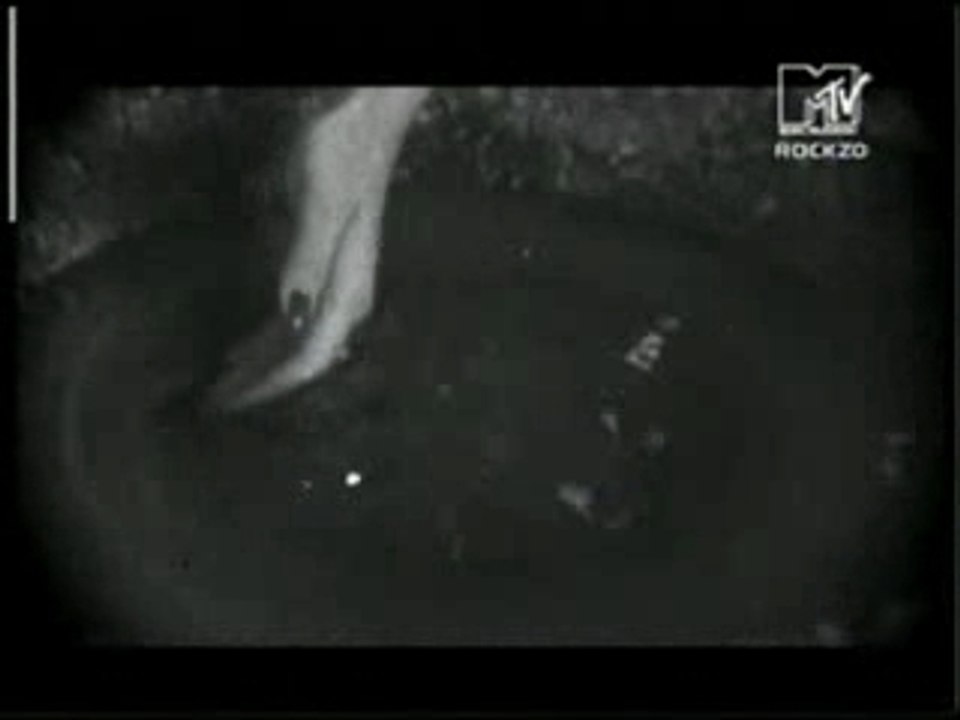 Epica .- Feint (Gothic) Tvrip