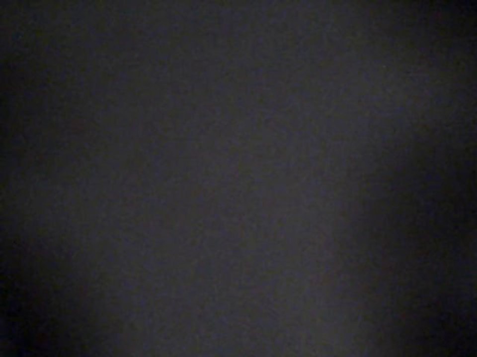 Fried  Chicken Wisdom - Rae Dawn Chong