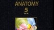 Education Book Review: Atlas of Human Anatomy, Professional Edition (5th edition) (Netter Basic S...