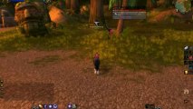 WoW Leveling Guide Review - World Of Warcraft Zygor Guides