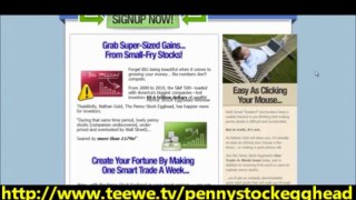 The Penny Stock Egghead Review - How To Make Money With Penny Stocks - Does It Really Work?