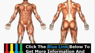 Gross Human Anatomy Course + Human Anatomy Physiology Online Course Lab