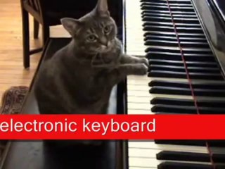 Rocket Piano Review and Tips