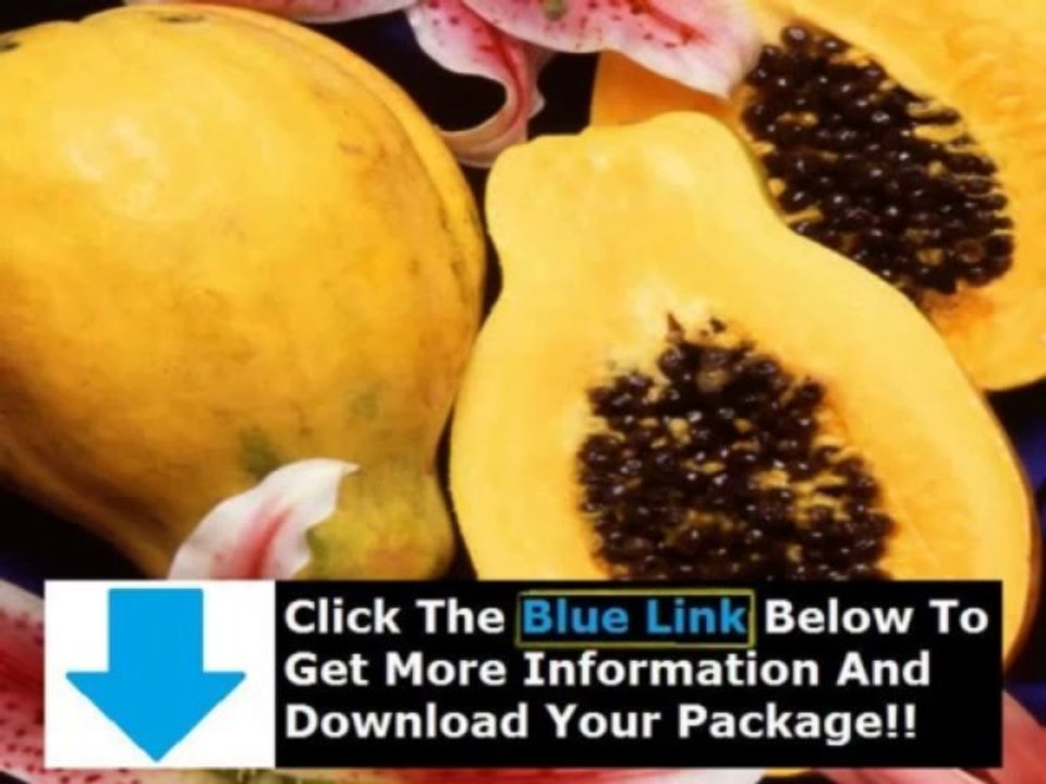 Cure Leaky Gut Syndrome + Leaky Gut Cure Review