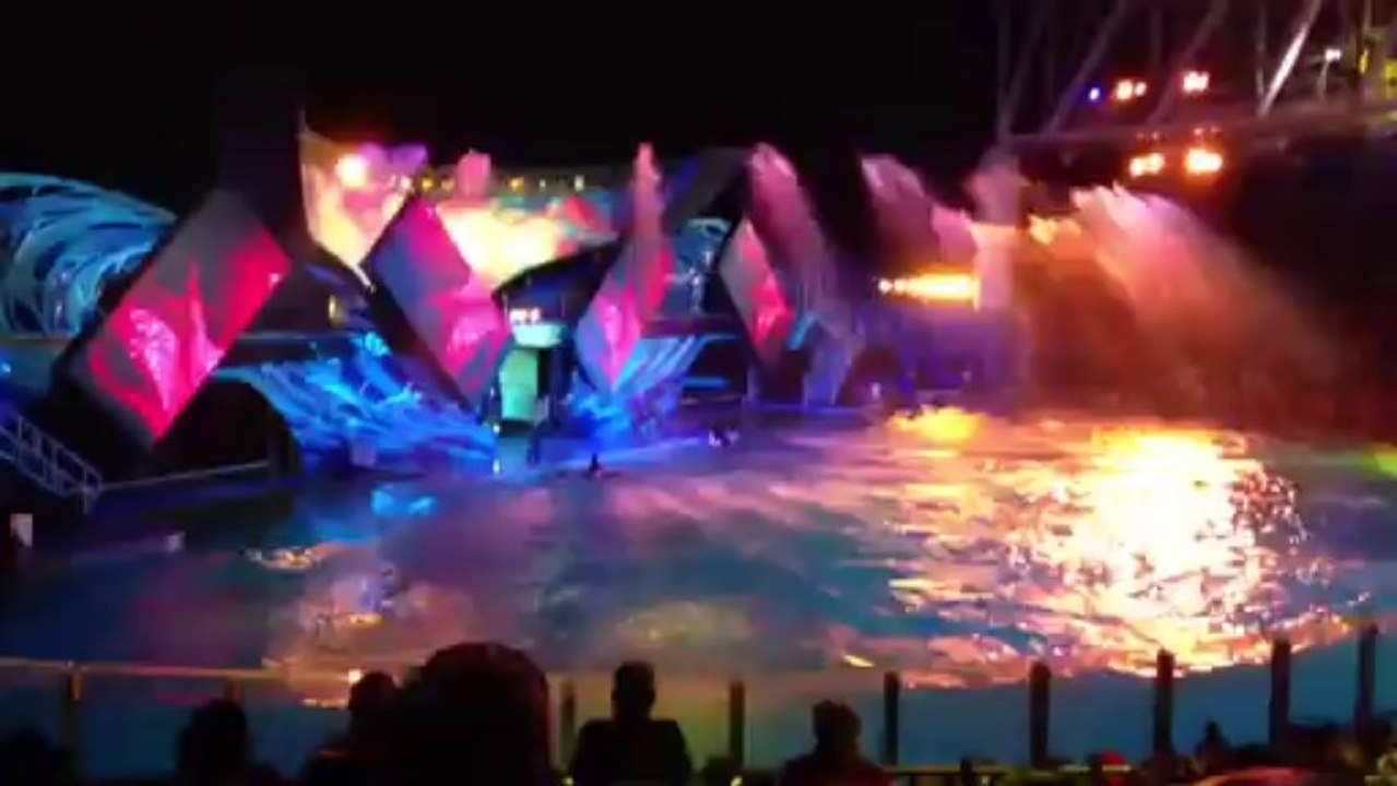 Shamu Rocks 4 Seaworld