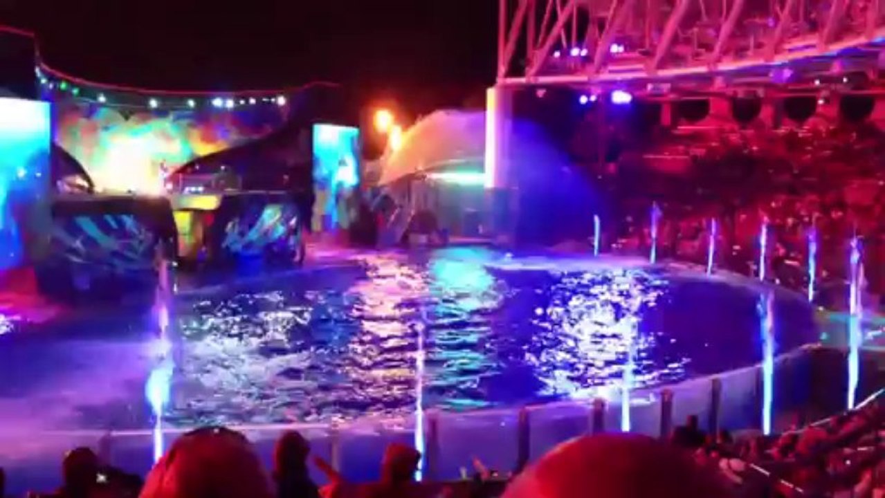 Shamu Rocks video 5