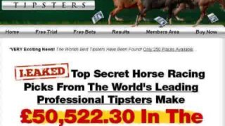 The Racing Tipsters