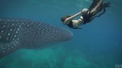 Best of The Web For Adrenaline Junkies