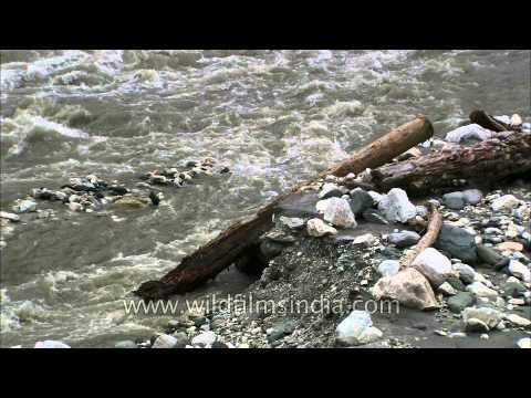 The Hotel Dodital in Gangori and the broken bridge: Uttarakhand