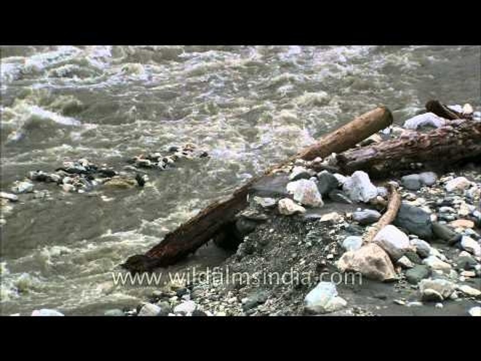 The Hotel Dodital in Gangori and the broken bri...