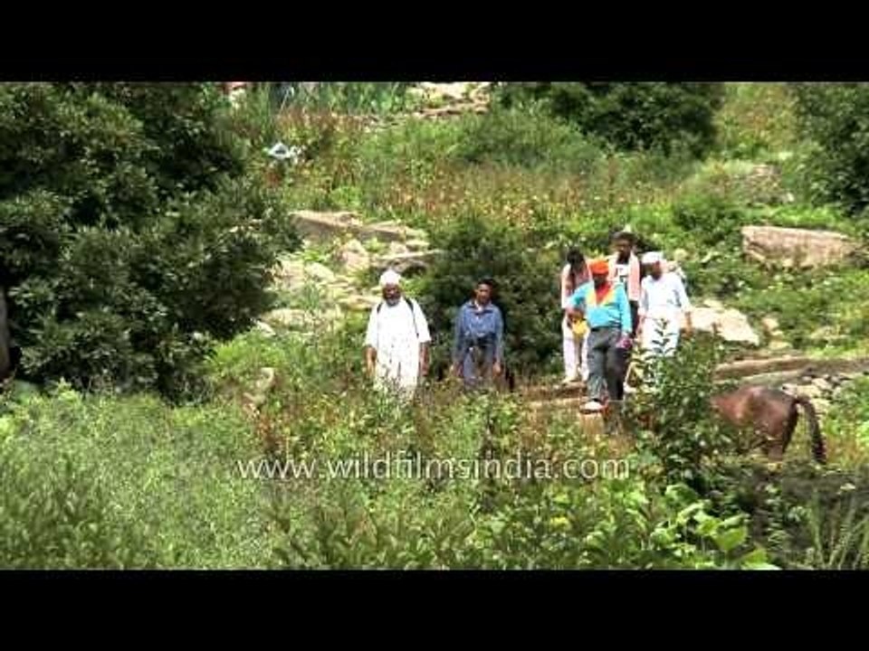 Pilgrims on the way to Hemkund Sahib