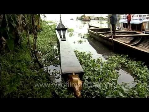 Unique boat from the Kerala backwaters