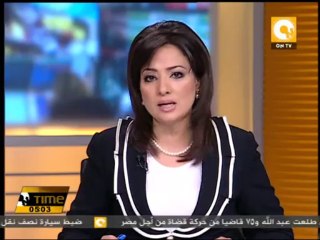 البرادعي يناقش مع مبعوث أوروبي المرحلة الانتقالية في مصر