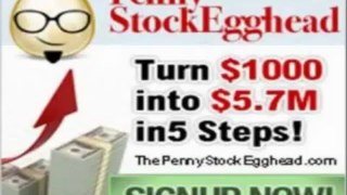Penny Stock Egghead  100% Commissions   Roxy Family Matters