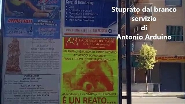 Aversa (CE) - Cagnetta sanguinante al Parco Argo: non era stupro (27.07.13)