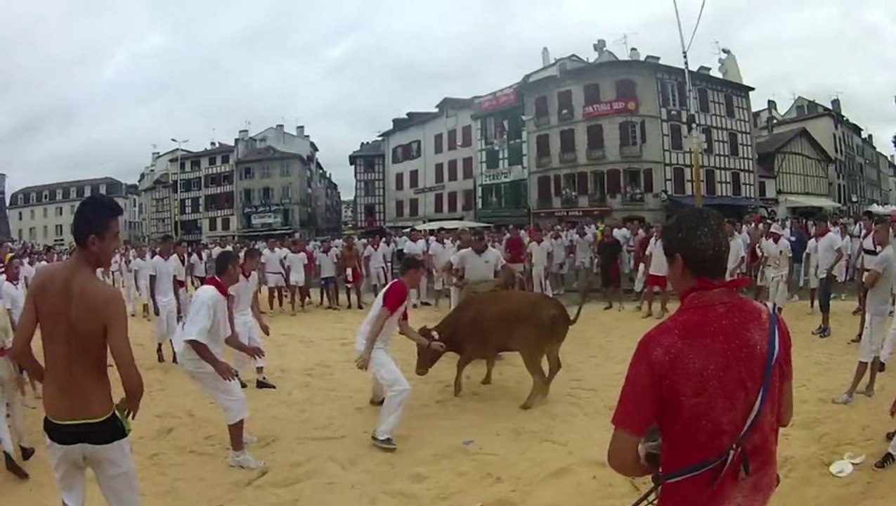 Ma course de vache