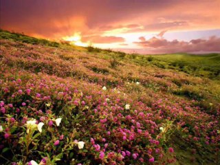 The creation of ALLAH.... beautiful!