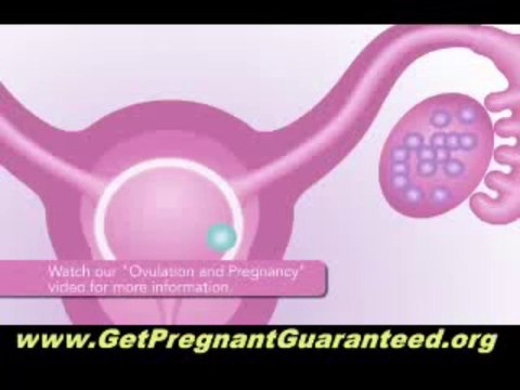 Lisa Olson Pregnancy Miracle Review Book - The Best Infertility Cure Guide Finally Revealed Online