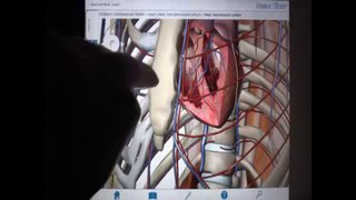 Educational App Tutorial: Visible Body (3D Human Anatomy)