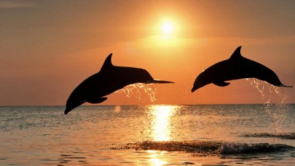 Χιλιάδες χρώματα στα μάτια της  Απόσπασμα Β