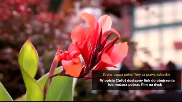 crack do wladca pierscieni bitwa o srodziemie 2 1.06