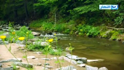 أهل الجنة - الحلقة 18 - العفو والمتسامح - مصطفى حسني