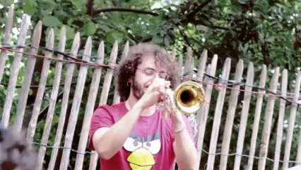 Paléo 2013 - Boulevard Des Airs unplugged