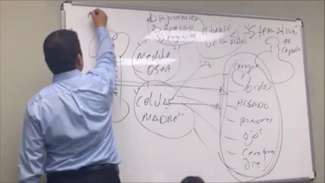 Stem Alive Producto_ Liberador de Células Madre de Su Propia Medula Osea,100% Natural