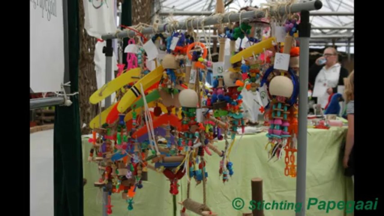 orchideeenhoeve 2013