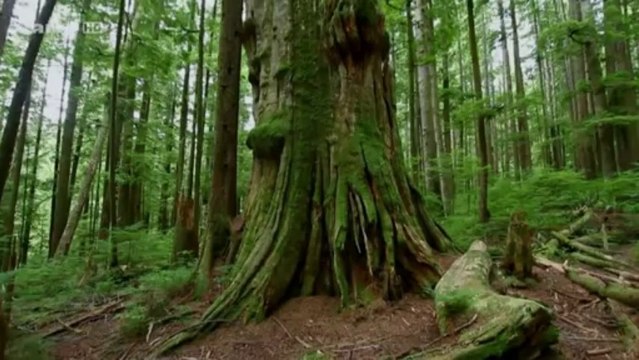Voyage aux Amériques - E02 - Canada Les Cotes de La Colombie-Britannique