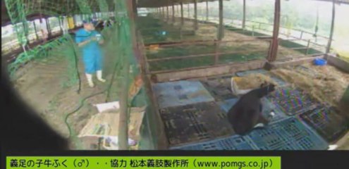 20130725　伊東先生、しずお姉さん　ナナちゃん