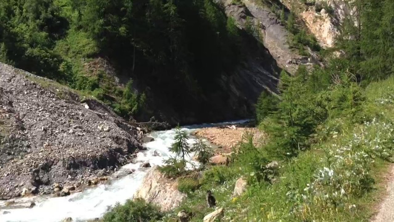 River in courmayeur Aosta valley italy
