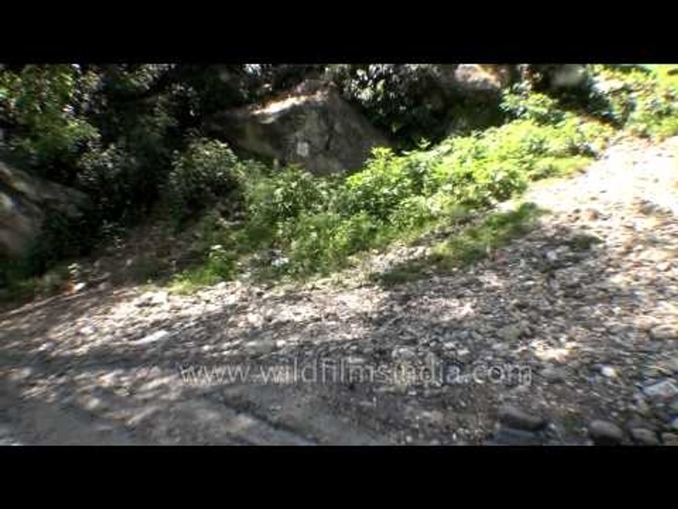 Drive through the narrow roads of Uttarakhand