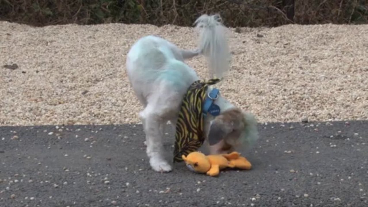 Song: Unchained Melody / Album: Songs For Sophie / Artist: George Skaroulis