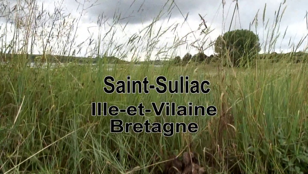 Saint Suliac