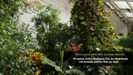 Napisy pl Śnieżka (Blancanieves)