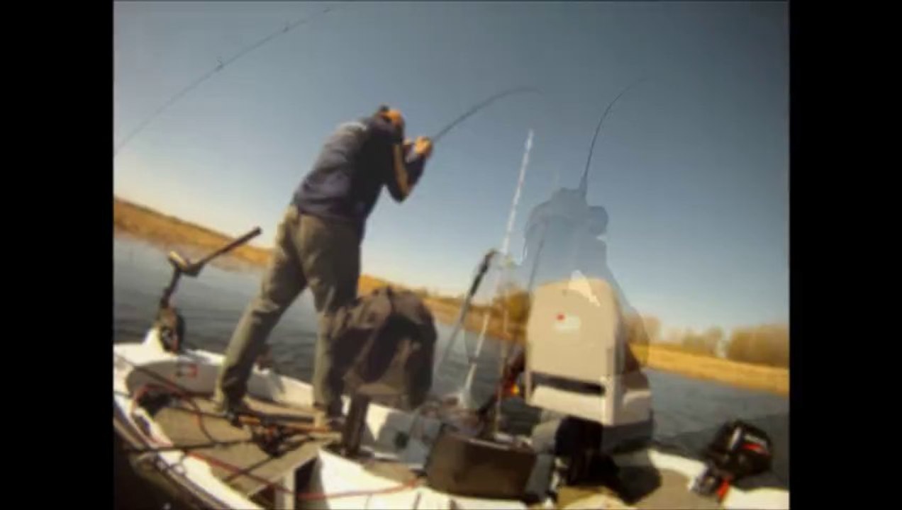 ouverture brochet 2013