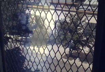 The Girl of My Dreams