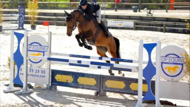 Ukko Diams des Edènes Auvers CC 5 ans