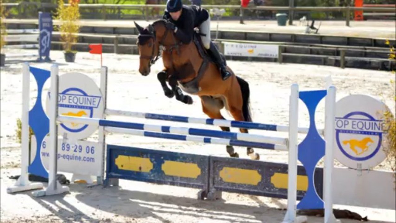 Ukko Diams des Edènes Auvers CC 5 ans