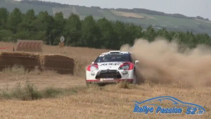 Rallye Terre de l'Auxerrois 2013 [HD]