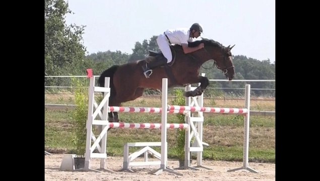 POT D'AMOUR CSO d'haziel le 27 07 2013 épreuve 130 5em place