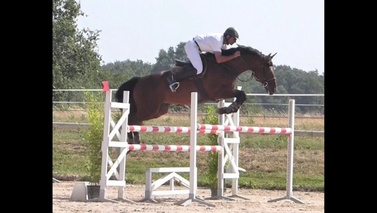 POT D'AMOUR CSO d'haziel le 27 07 2013 épreuve 130 5em place