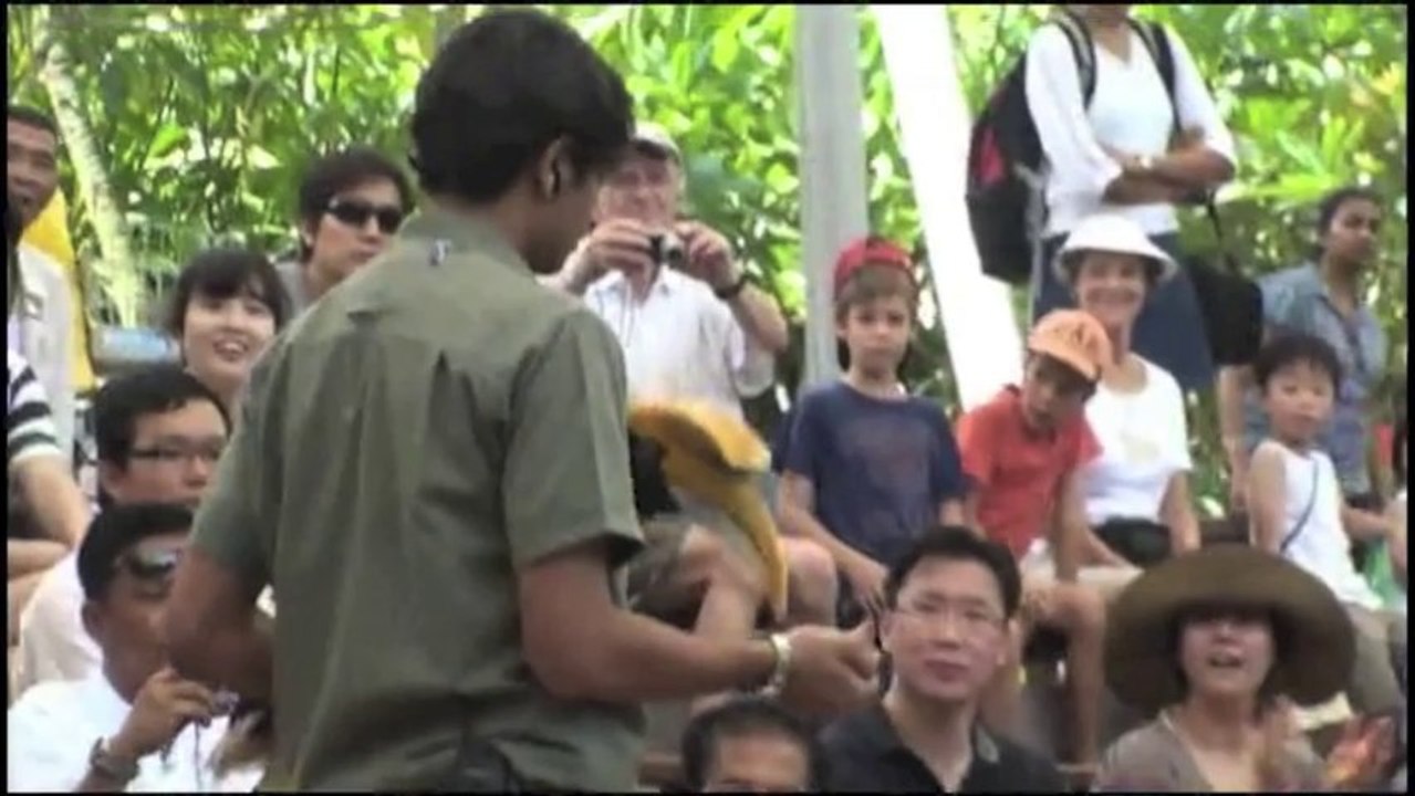 X-clusive Event Services (X.E's)  - Charity Event Year 2011 to 2012 Video Montage