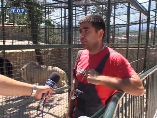 Zeleni ekran, 28. jul 2013.