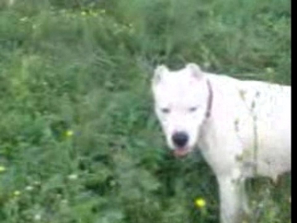 Vidéo010
