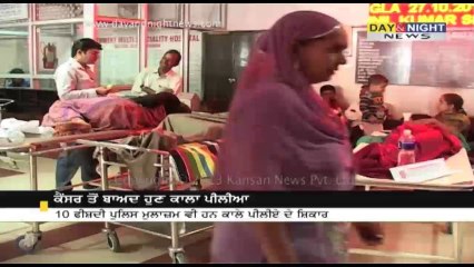 ਪੰਜਾਬ ਚ ਕੈੰਸਰ ਤੋਂ ਬਾਅਦ ਹੁਣ ਕਾਲੇ ਪੀਲੀਏ ਦੀ ਮਾਰ