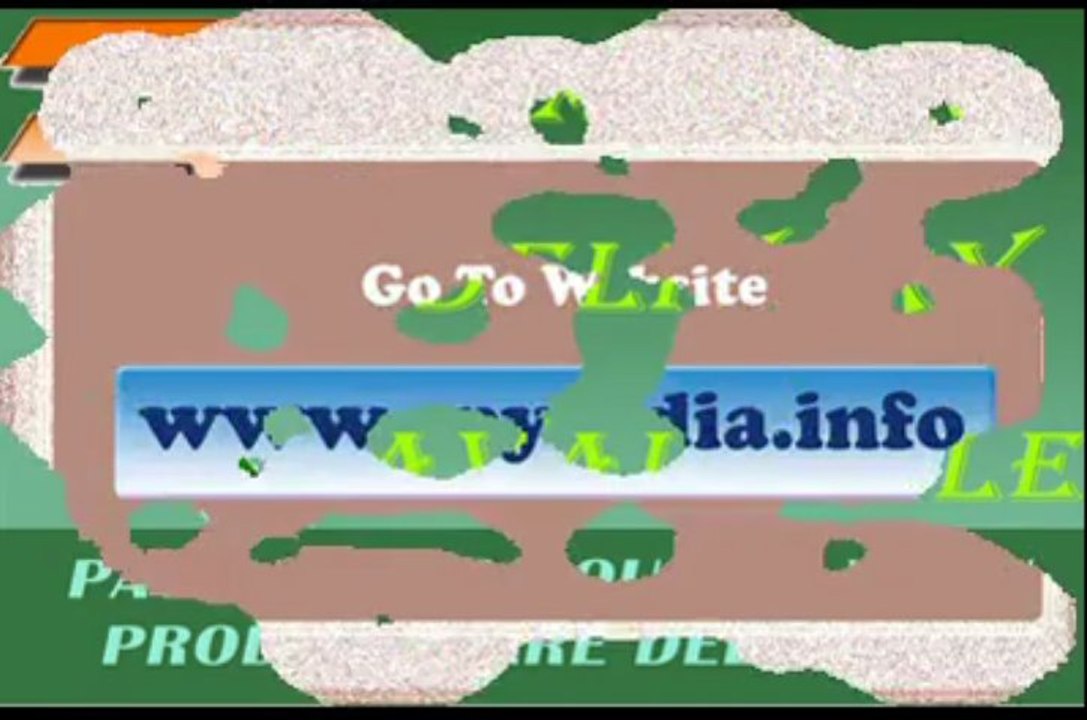 SPY BAG CAMERA IN DELHI INDIA | HIDDEN BAG CAMERA,09650321315, www.spyindia.info