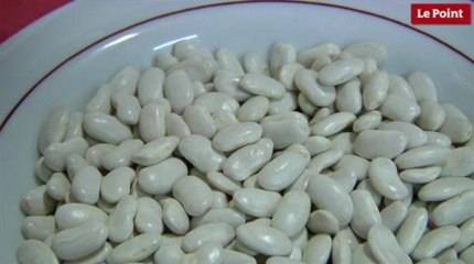 Albi en pince pour ses haricots d'agneau